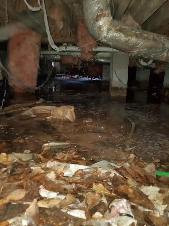 Crawl space flood assessment for Leak Detection & Repair in River Vale