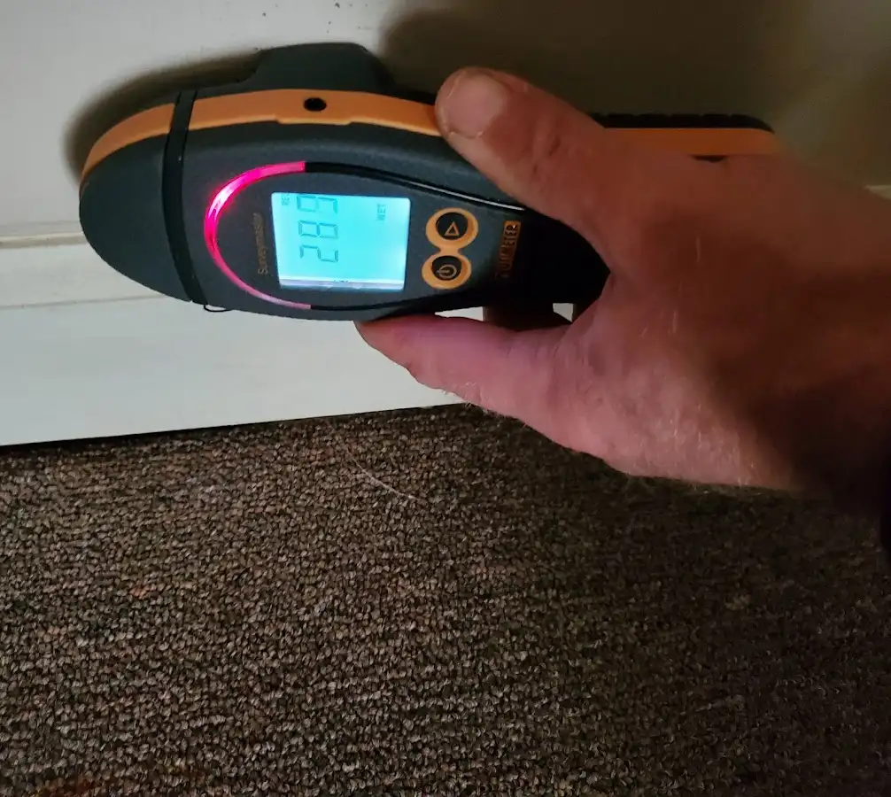 Moisture detection at baseboard during Sewage Cleanup & Sanitation in River Vale